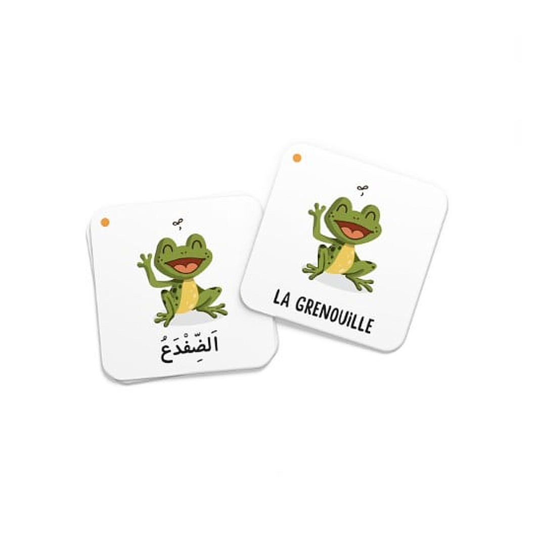 Mémo Des Animaux Du Coran – Deenilearn